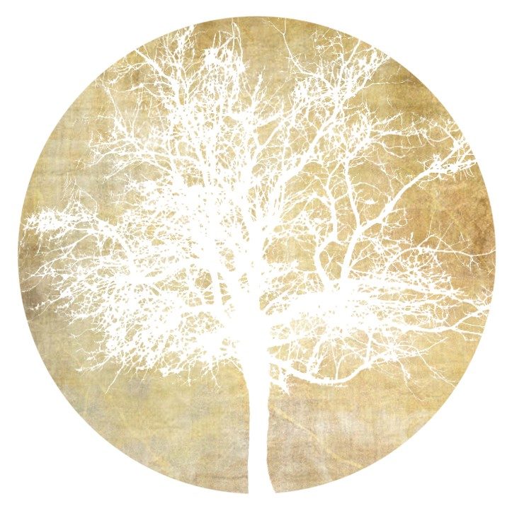 Tai Indira Kleinbruckner